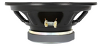 Alto Falante Woofer 10" JBL 10PX 150W RMS